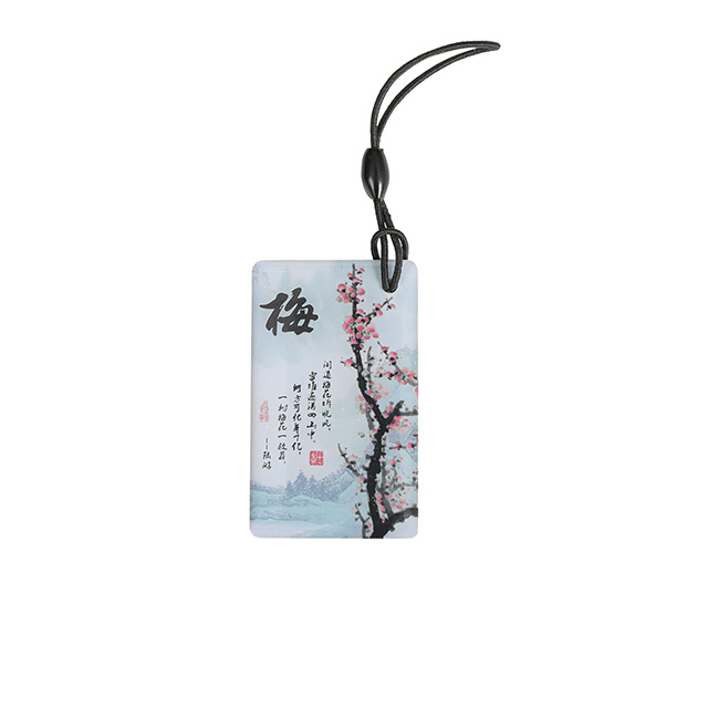 RFID apoxy tag card keychain keychain